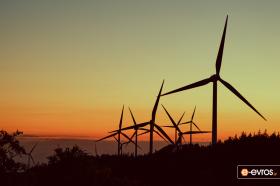 Το δάσος με τις ανεμογεννήτριες στη Λεπτοκαρυά