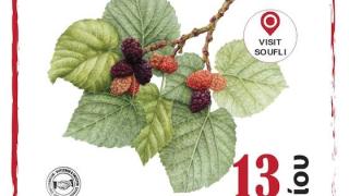 Η Μουριά γιορτάζει για τρίτη συνεχόμενη χρονιά στο Σουφλί!