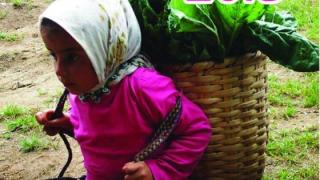 "Παρχάρια 2015" στον Προφήτη Ηλία Λουτρών.