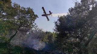 'Εβρος: Καθαρισμός των ακάλυπτων χώρων εν όψει της αντιπυρικής περιόδου