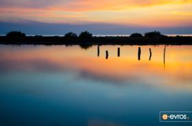 Ένα πανέμορφο τοπίο στο Δέλτα του Έβρου