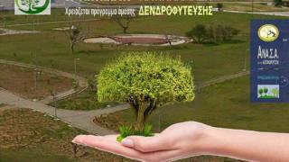 Πρόταση δενδροφύτευσης στο Πάρκο “Αλτιναλμάζη”