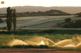Πλούσιος ο κάμπος του Σουφλίου (περιοχή Δαδιάς).