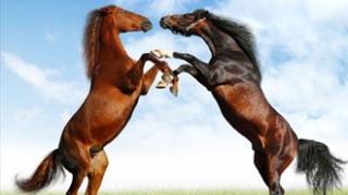 DNA αλόγου σε άλλα 7 προϊόντα: Όπως πάμε, θα χλιμιντρίζουμε σε λίγο.