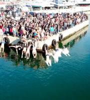 Με λαμπρότητα γιορτάστηκε ο αγιασμός των υδάτων στην Αλεξανδρούπολη (φωτο + video)