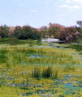 Evros nehrin Deltası