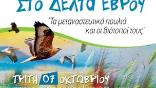 Γιορτή πουλιών στο Δέλτα του Έβρου.