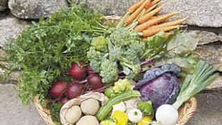 Αγροτικά προϊόντα από την ΑΜΘ σε εκδήλωση στο Μουσείο της Ακρόπολης.