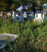 Έβρος: Σε πλήρη εγκατάλειψη τα νεκροταφεία Τυχερού (φωτο)