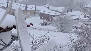 Έπεσαν τα πρώτα χιόνια στον Έβρο - Στα "λευκά" ντύθηκαν πολλές περιοχές