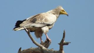 Τα νέα του Ασπροπάρη στη Θράκη λίγο πριν φύγει το 2023!