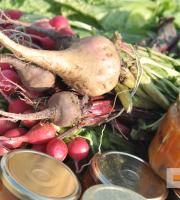 Η 'Γιορτή της Μητέρας Γης' στους αμπελώνες Αλεξανδρούπολης.