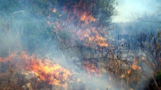 Ολονύχτια μάχη με τις φλόγες στο δήμο Σουφλίου