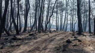 Αλεξανδρούπολη: Εντοπίστηκε μία ακόμη απανθρακωμένη σορός