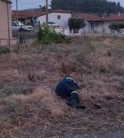 Οι πυροσβέστες μετά την ολονύκτια μάχη ξεκουράζονται όπου μπορούν.