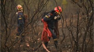Για έκτη μέρα στις φλόγες ο Έβρος - Κάηκαν περισσότερα από 600.000 στρέμματα 