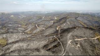 «Έβρος: 17 μέρες μετά»: Το ντοκιμαντέρ του Σάκη Γιούμπαση για τις φωτιές στον Έβρο