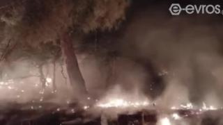 Η πυρκαγιά στη Δαδιά ήταν η δυσκολότερη του 2022 σε όλη την Ελλάδα!