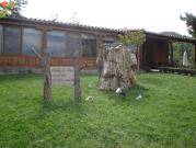 Dadia'nın bilgi merkezinde.