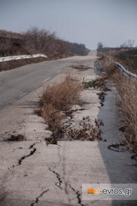 Όλοι οι δρόμοι στον κόσμο έχουν χλωρίδα στη μέση, μην απορείτε!