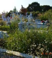 Έβρος: Σε πλήρη εγκατάλειψη τα νεκροταφεία Τυχερού (φωτο)