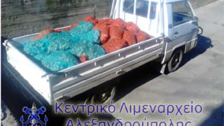 1.356 κιλά οστράκων ακατάλληλων για κατανάλωση κατασχέθηκαν.