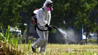 Έβρος: Οχτώ συνεργεία στη «μάχη» για την καταπολέμηση των κουνουπιών.