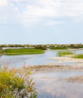Evros nehrin Deltası