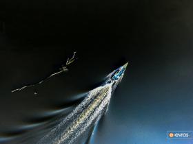 Bir Evros Deltası'nın balıkçısı, balıklarına koşarken