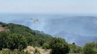 Δαδιά: Μικρότερη απ' ό,τι είχε αρχικά εκτιμηθεί η περιβαλλοντική ζημιά