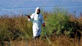 Το εβδομαδιαίο πρόγραμμα ψεκασμών για τα κουνούπια στον Έβρο