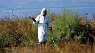 Το εβδομαδιαίο πρόγραμμα ψεκασμών για τα κουνούπια στον Έβρο