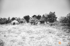 O Σαρακατσάνικος οικισμός στη Λεπτοκαρυά.