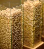 Το Umami Pasta Fresca στην Αλεξανδρούπολη μας συστήνεται!