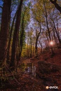 Πεζοπορία στην Λεπτοκαρυά 