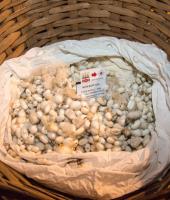 Sofulu: İpek sanatı müzesi 