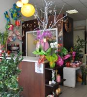 Flowers - Plants