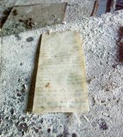 Ένα ποίημα για τα "ελεύθερα" παιδιά 