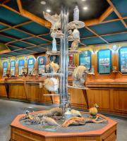 Εξερευνήσαμε το Ρωσικό ιστιοφόρο "Kruzensthern" στο λιμάνι της Αλεξανδρούπολης.