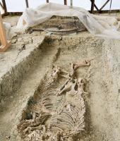 Doksipara Tümülüs Mezarı