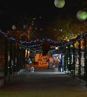 Φωτογραφική εξόρμηση στο Πάρκο Χριστουγέννων, στην Αλεξανδρούπολη