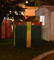 Φωτογραφική εξόρμηση στο Πάρκο Χριστουγέννων, στην Αλεξανδρούπολη