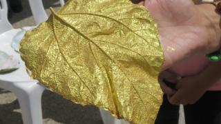 «Φύλλα μουριάς από πηλό» θα φτιάξουν μικροί και μεγάλοι, την Κυριακή 25 Αυγούστου 2024