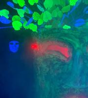 Το χριστουγεννιάτικο θεματικό πάρκο «Σαν Παραμύθι» στο Σουφλί (φωτο + video)