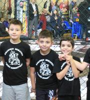 Μεικτές Μαχητικές Τέχνες