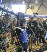 Μεικτές Μαχητικές Τέχνες