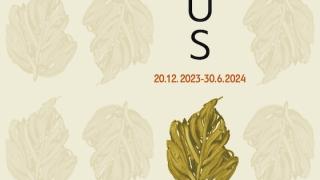 «Morus»: Περιοδική έκθεση αφιερωμένη στη μουριά στο Μουσείο Μετάξης