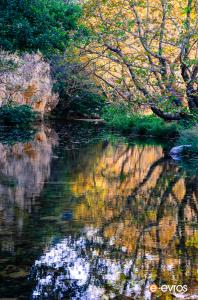 Πεζοπορία στους Αγίους Θεοδώρους 