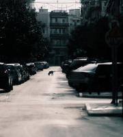 Η απαγόρευση κυκλοφορίας στην Αλεξανδρούπολη μέσα από 23 εικόνες!