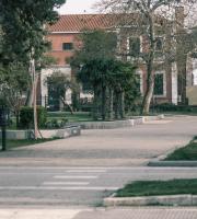 Η απαγόρευση κυκλοφορίας στην Αλεξανδρούπολη μέσα από 23 εικόνες!